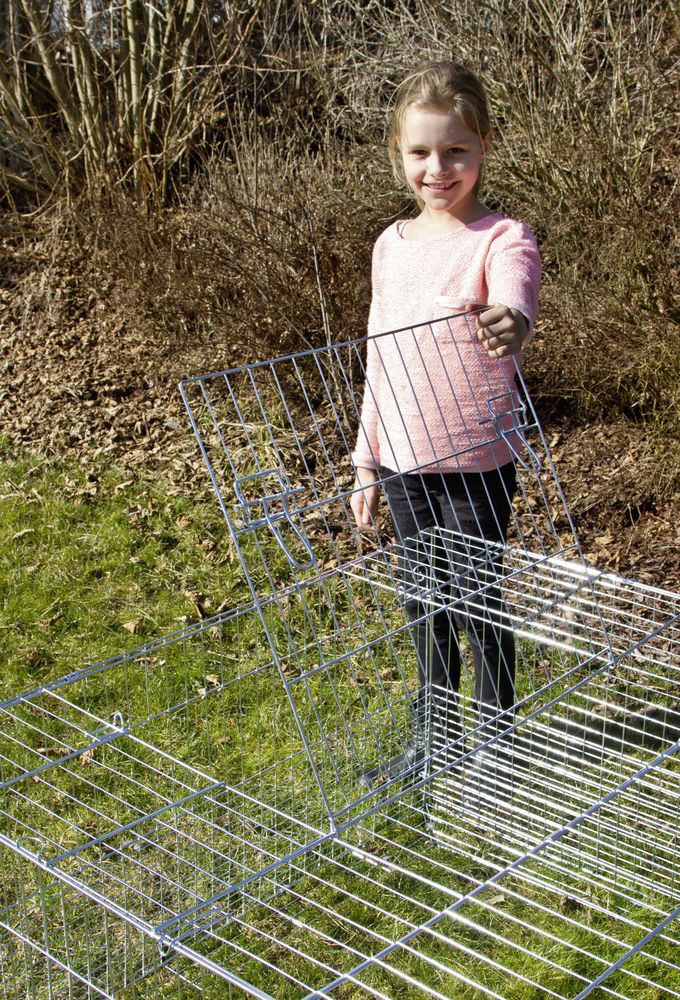 Freilaufgehege mit Ausbruchsperre Hühner Kaninchen