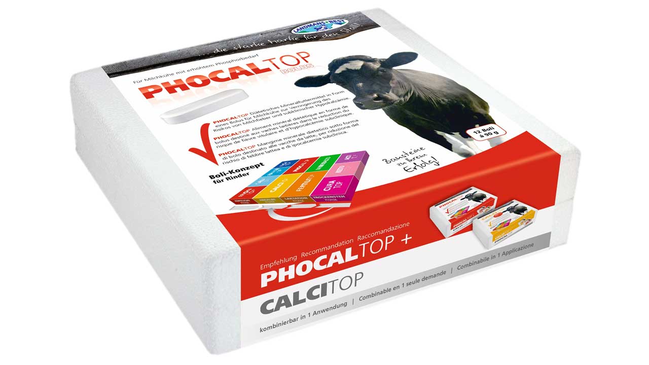 Phocaltop-Phosphor Bolus