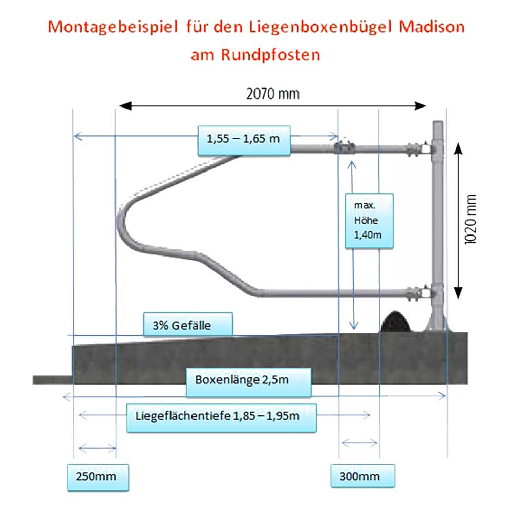 Liegeboxenbüge Madison 60x2,9 mm feuerverzinkt