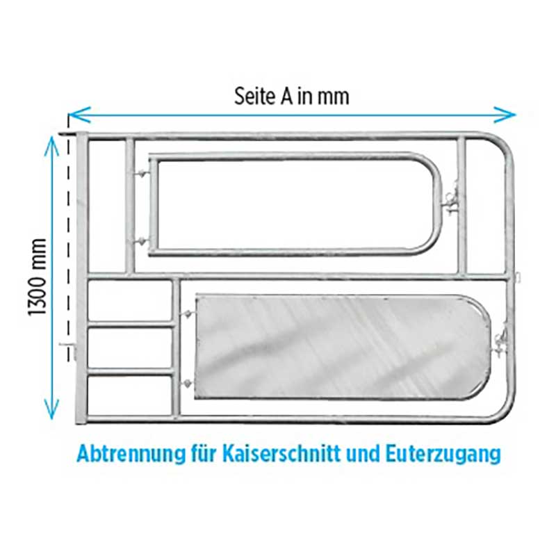 Abtrennung f.Kaiserschnitt + Euterzugang