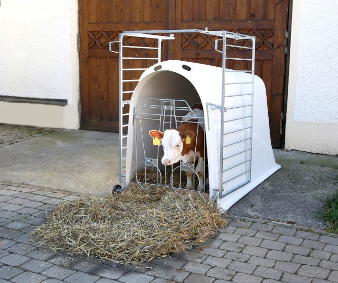 CalfHouse Master Plus mit leichter Umzäunun