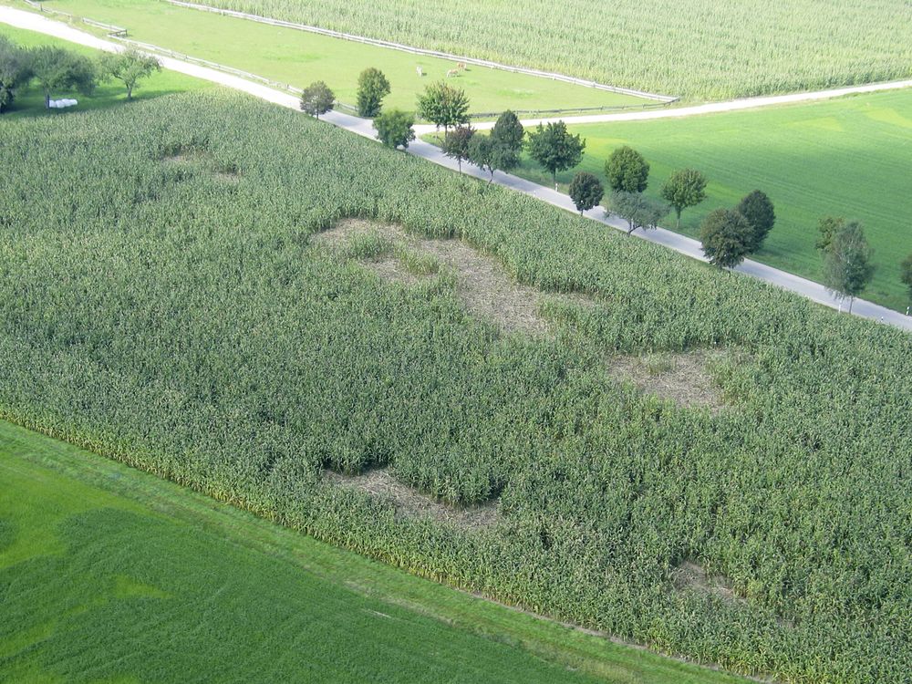 WildNet Wildschweinabwehrnetz Länge: 50 m