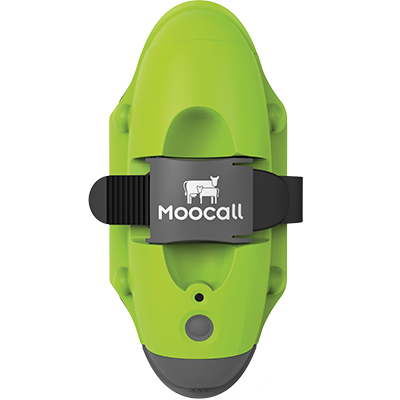 Moocall, AbkalbeSensor