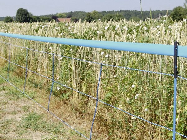 WildNet Wildschweinabwehrnetz Länge: 50 m